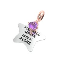 Charm Rerum Donna AMICIZIA in Argento Ametista 25025M - 25025M